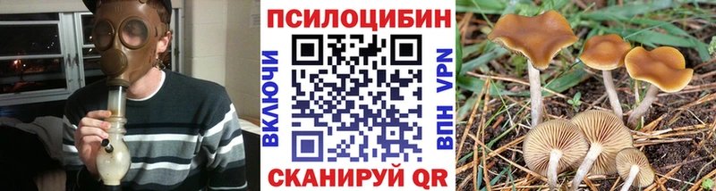где купить наркоту  сайты даркнета как зайти  Галлюциногенные грибы Psilocybe  Славск 