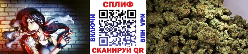Бошки Шишки AK-47 Славск