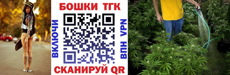 Бошки Шишки семена  Славск 
